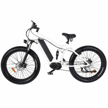 Electric Bicycle Low Consume E Bike Road Electric Bicycle MID Drive City Electric Bike